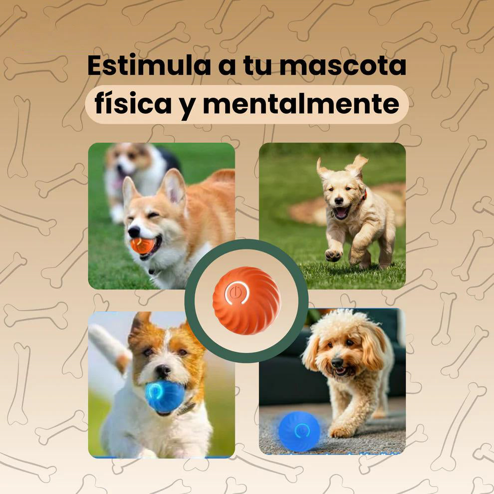 Bola Loca - Diversión sin fin para tu mascota