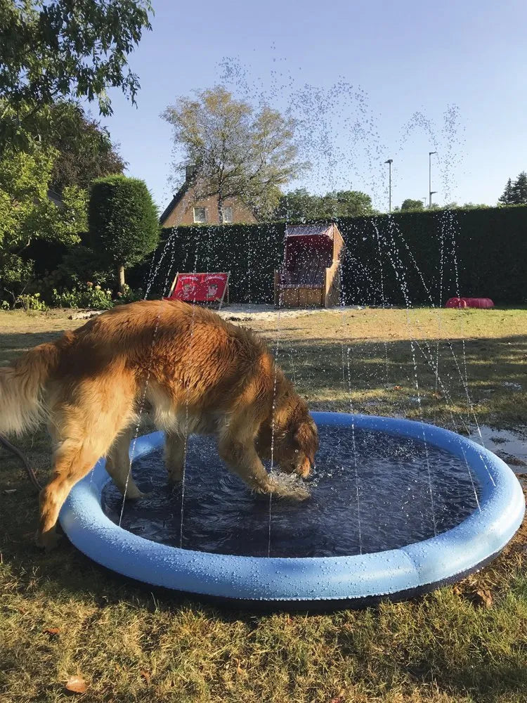 Diversión Refrescante - AquaPet Splash