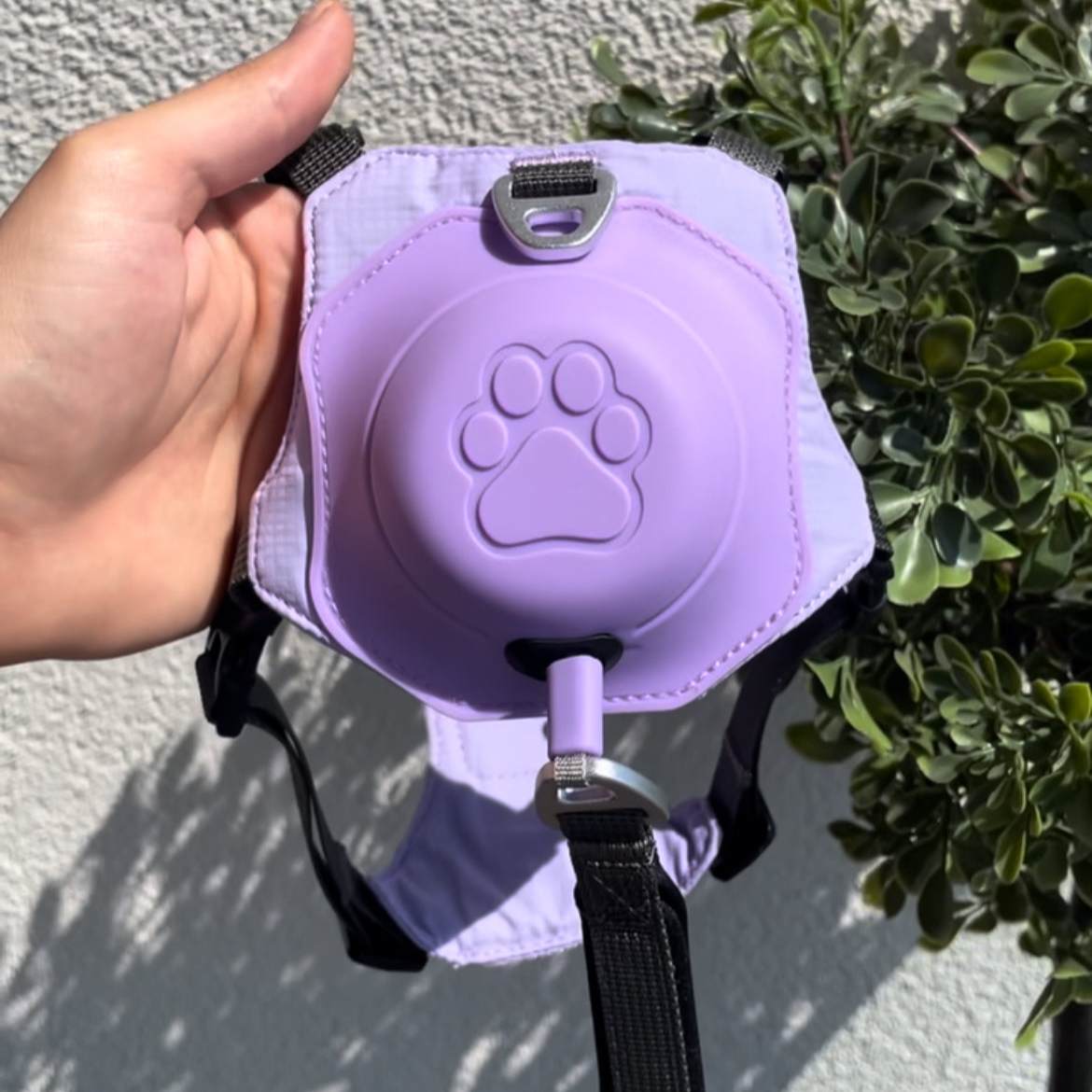 Caminitos MINI – A pechera que acompanha cada pasito de tu perrito